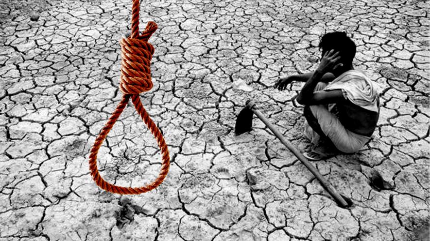 Farmers suicide