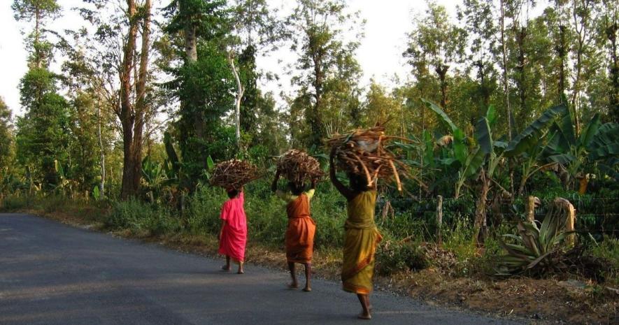 Tribal Ministry