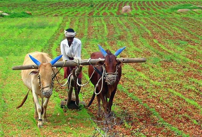 farmers