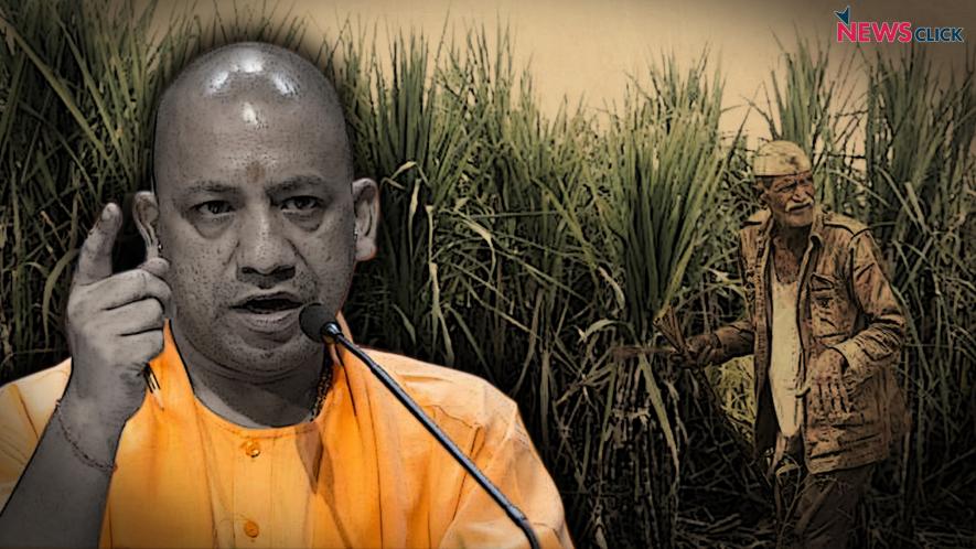 सांकेतिक तस्वीर