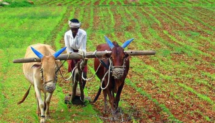 farmers