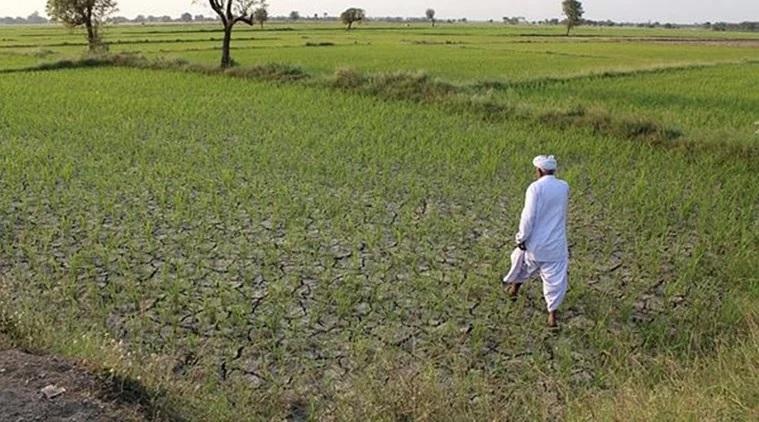सांकेतिक तस्वीर