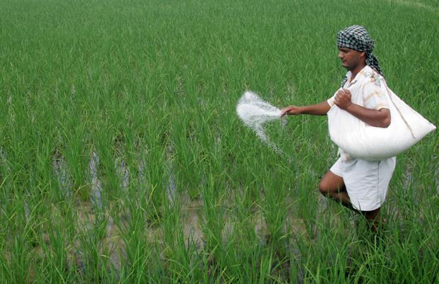 fertilizers.