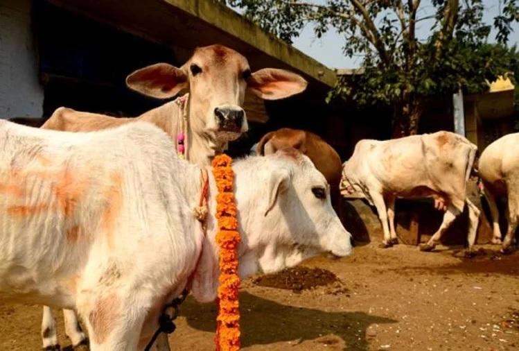सांकेतिक तस्वीर