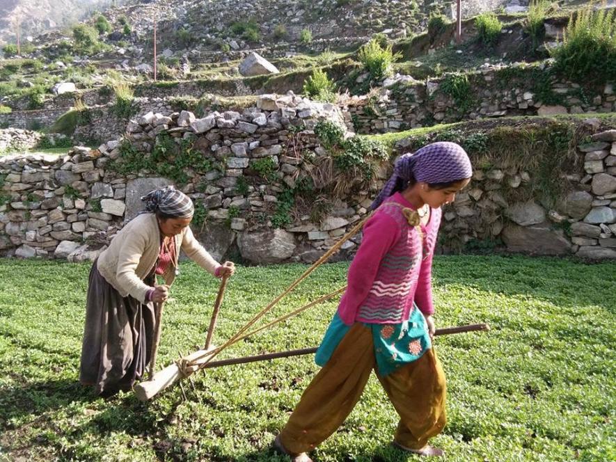 सांकेतिक तस्वीर