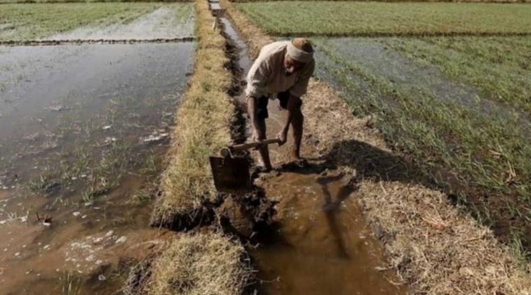 farmers 
