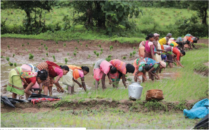 #kisanmuktimarch