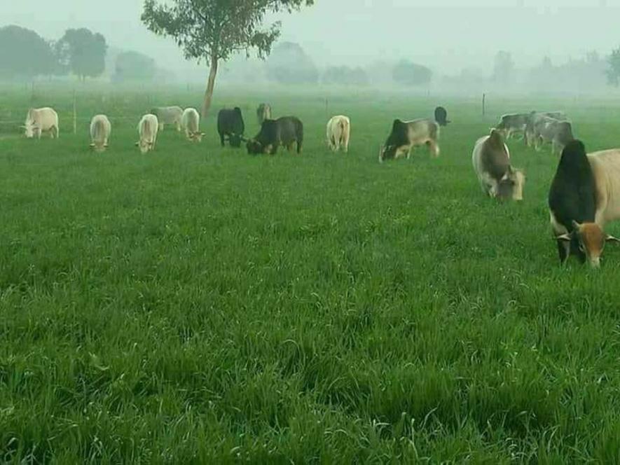सांकेतिक तस्वीर