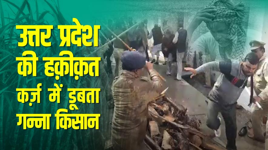 सांकेतिक तस्वीर