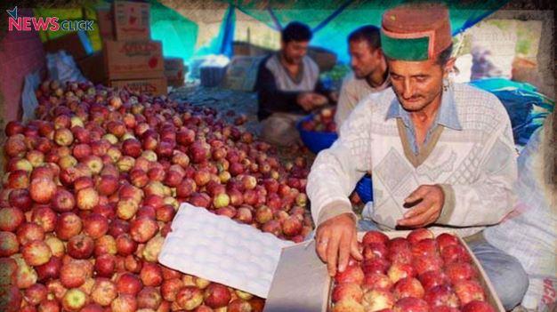 Himachal Kisan