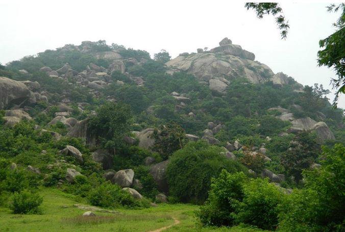 Mountain