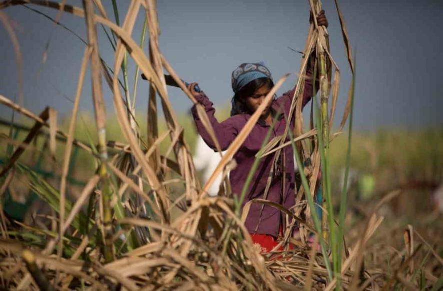 woman worker