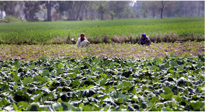 jammu and kashmir