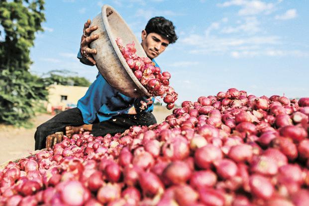 onion farmer