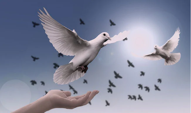 world peace day