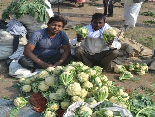 cauliflower