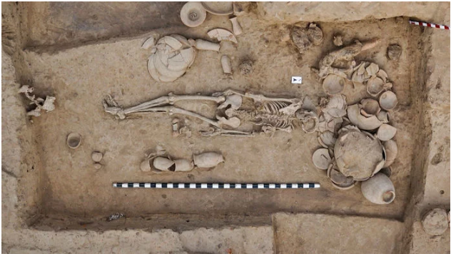 Rakhigarhi Skeleton