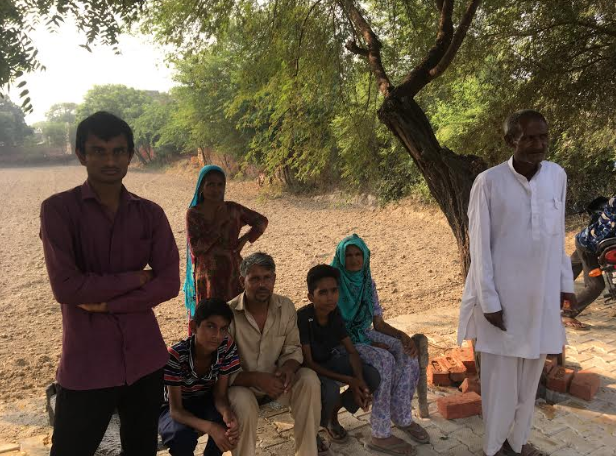 haryana elections