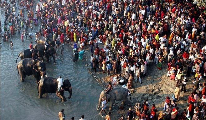 sonpur animal fair