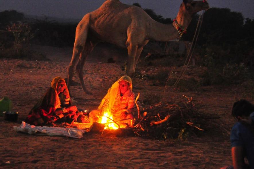 pushkar fair