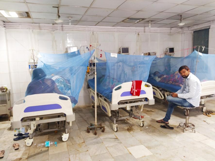 dengue in bihar