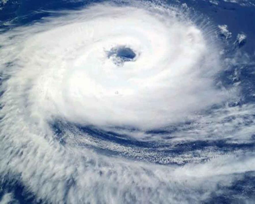 cyclone bulbul