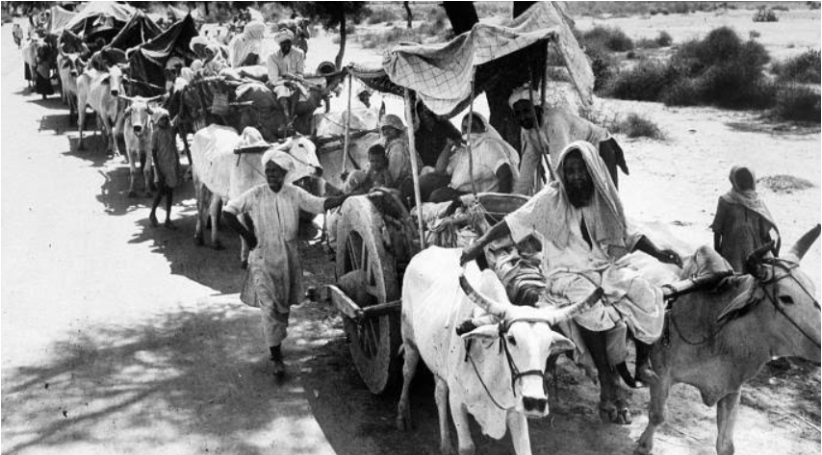 india -pak 