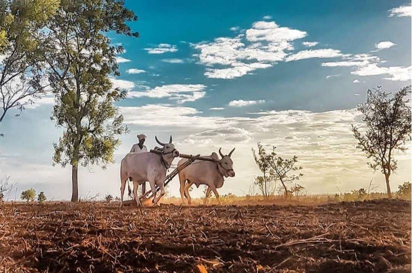 farmers in budget