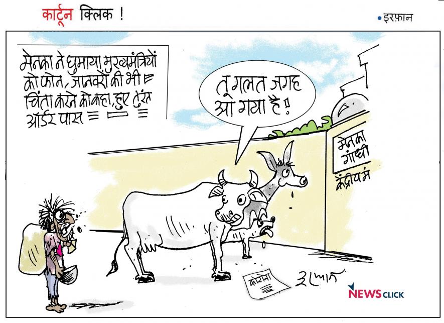 cartoon click