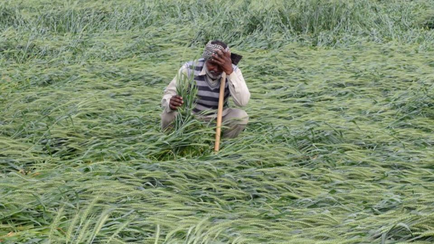 आसमान से बरसी किसानों की तबाही
