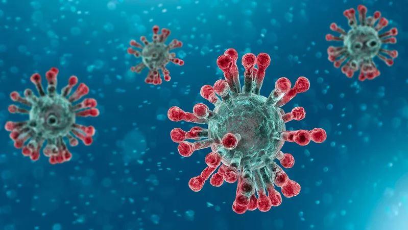 coronavirus