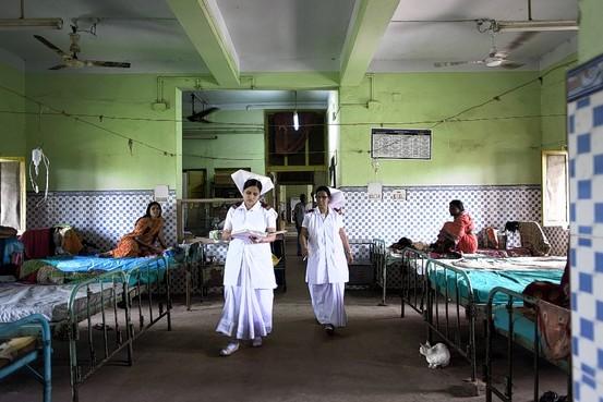 govt hospital