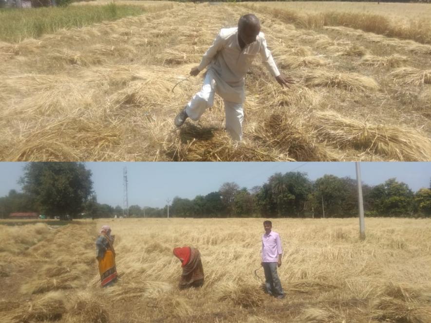 किसानों पर बारिश का क़हर