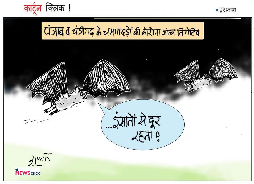 cartoon click
