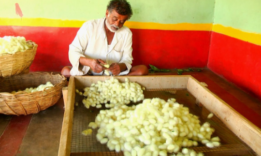 ग्रामीण भारत