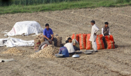 ग्रामीण भारत में कोरोना