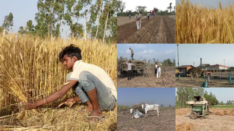 लॉकडाउन की मार