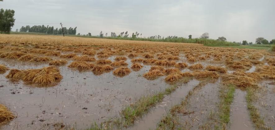 अन्नदाता पर मौसम की भी मार