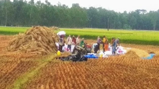 ग्रामीण भारत में कोरोना