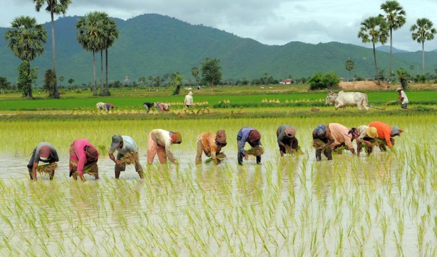 लॉकडाउन और आर्थिक संकट