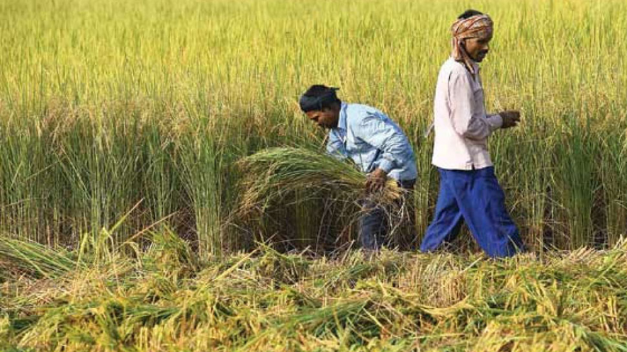 ख़रीफ़