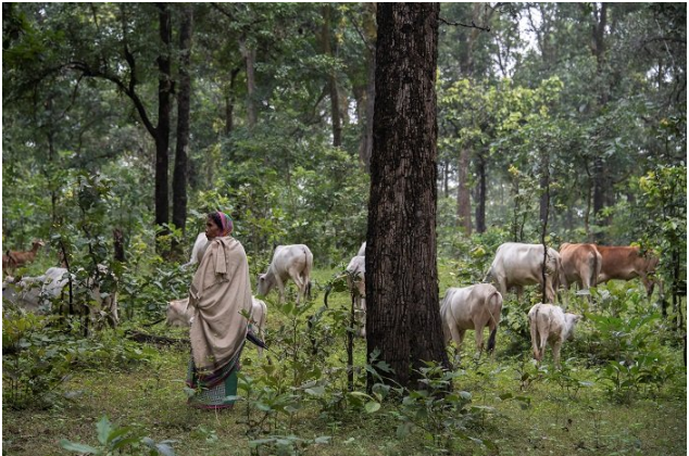 आदिवासी समुदाय पर कोयला खदान और हिंदू धर्म थोप रहा है अडानी समूह