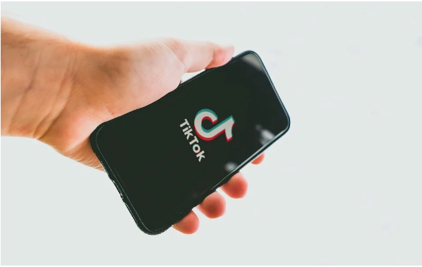 tiktok ban in india 