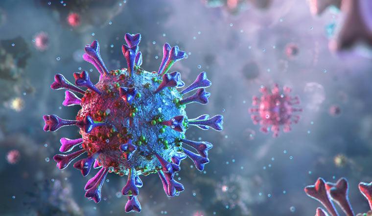 COVID-19: Deceased Patients’ Autopsies Show Remarkable Immune Failure