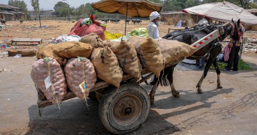 क्यों अगर मंडिया नहीं रहेंगी तो पूरे देश की खेती-किसानी बिहार की तरह बर्बाद हो जाएगी!
