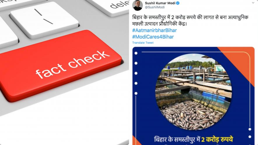 फेक्ट चेक