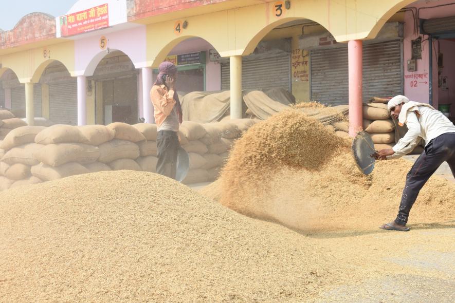  धान