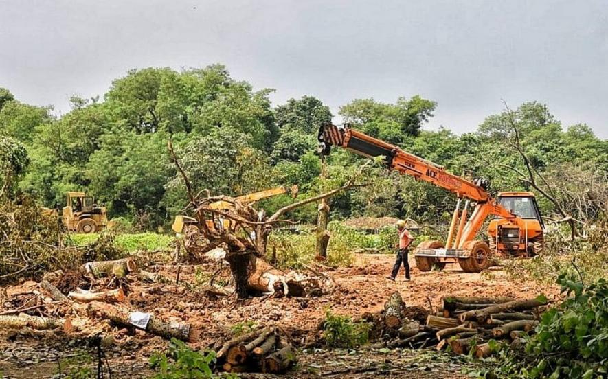 पृथ्वी पर जीवन के तीन बड़े खतरे, जिन्हें 2021 में हल करना होगा