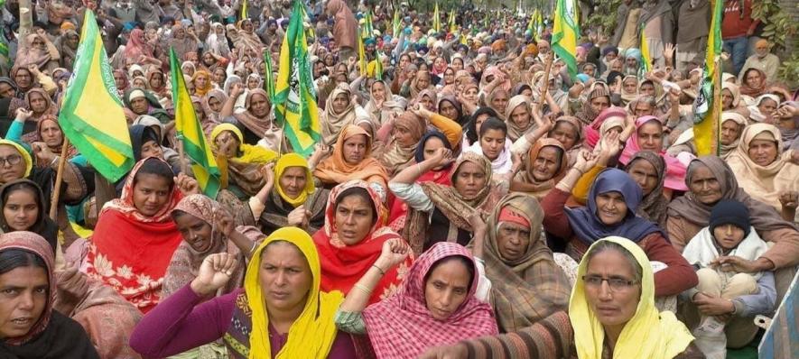 लूट से बचने के लिए किसानों की न्यूनतम समर्थन मूल्य कानून की मांग