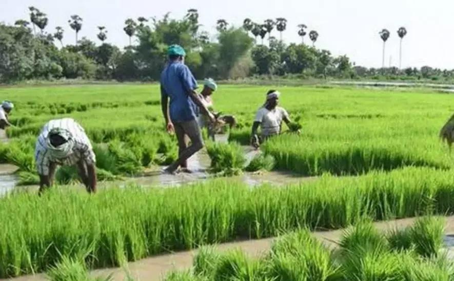 चुनाव से पहले तमिलनाडु पर कृपा बरसाने लगे राष्ट्रीय नेता, अन्नाद्रमुक के कृषि क़र्ज़ माफ़ी की आलोचना